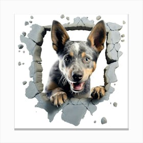 Australian Cattle Dog 1 Canvas Print