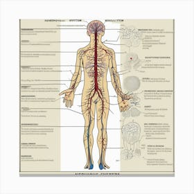 Nervous System Canvas Print