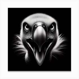 Vulture 4 Canvas Print