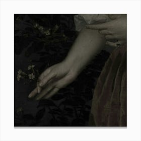 Lady'S Hand 2 Canvas Print