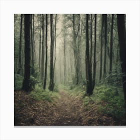 Foggy Forest Path 3 Canvas Print