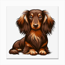 Dachshund Canvas Print