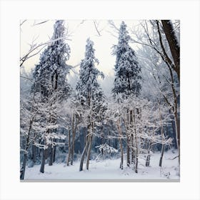 Snowy Forest 8 Canvas Print