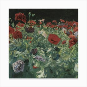 Poppies Canvas Print