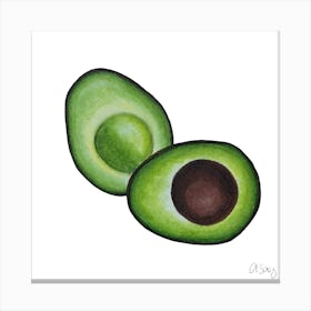 Avocado Canvas Print