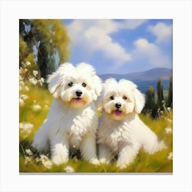 Bichon Frise dogs 5 Canvas Print