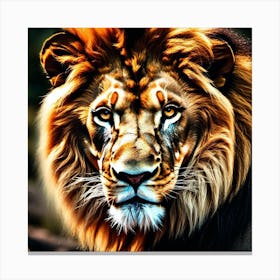 Lion art 15 Canvas Print