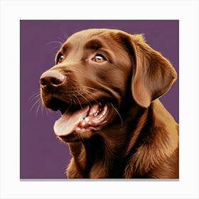 Chocolate Labrador Retriever 1 Canvas Print