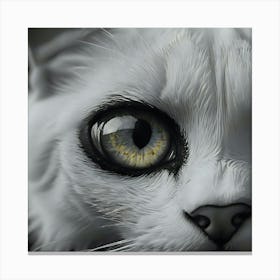 Cat'S Eye 1 Canvas Print