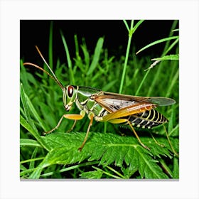 Crickets Insects Chirping Jumping Green Legs Antennae Noise Hopper Herbivores Garden Fiel (10) 1 Canvas Print