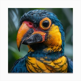 Blue And Yellow Parrot Canvas Print