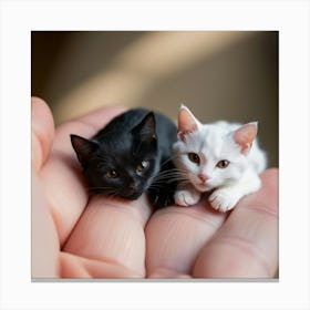 Tiny Kittens On A Hand Wall decoration Canvas Print