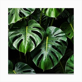 Default Monstera Leaves Photo Art 1 Canvas Print