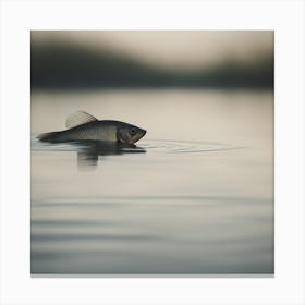 Fish Swimming In Water Canvas Print