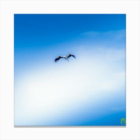 Stork In Flight 20200301 35rt3ppub Canvas Print