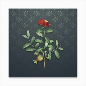 Vintage Pomegranate Botanical on Slate Gray Pattern n.0812 Canvas Print