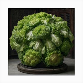 Chinese Cabbage Canvas Print