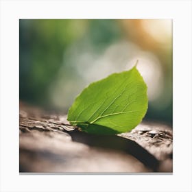 Green Leaf On A Tree Canvas Print