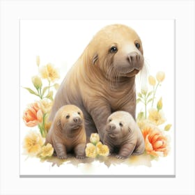 Walruses 1 Canvas Print