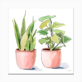 2 House Plants Square Canvas Print