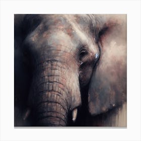 Elph1 Canvas Print