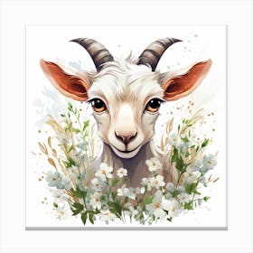 Goat Head Canvas Print