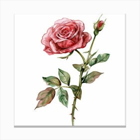 Watercolor Rose Canvas Print