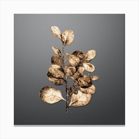 Gold Botanical Lingonberry Evergreen Shrub on Soft Gray n.2507 Canvas Print