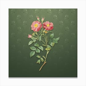 Vintage Sweetbriar Rose Botanical on Lunar Green Pattern n.1252 Canvas Print