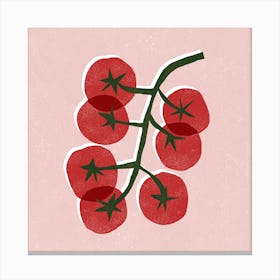 Tomatoes On A Branch Canvas Print