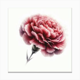 Carnation Flower 3 Canvas Print