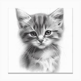 Kitten's Serenity Canvas Print