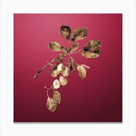 Gold Botanical Cherry on Viva Magenta n.2723 Canvas Print