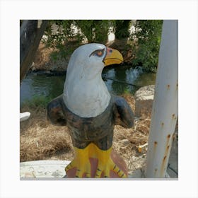 Bald Eagle Canvas Print