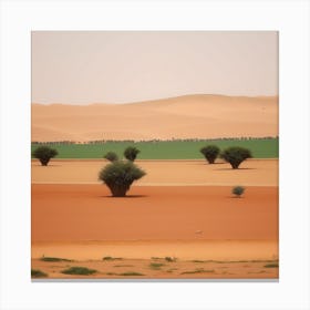 Sahara Desert 17 Canvas Print