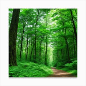 Green Forest Path Canvas Print