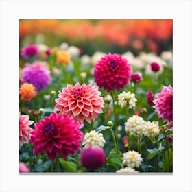 Dahlias In The Garden Canvas Print