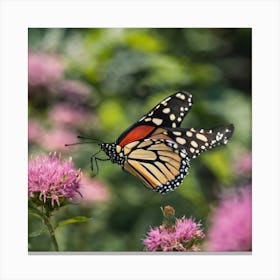 Monarch Butterfly - Monarch Butterfly Stock Videos & Royalty-Free Footage 1 Canvas Print