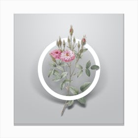 Vintage Mossy Pompon Rose Minimalist Botanical Geometric Circle on Soft Gray n.0167 Canvas Print
