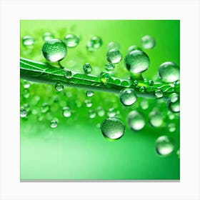 Water Droplets On A Leaf Canvas Print