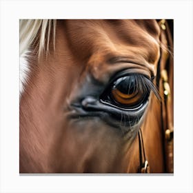 Eye Of A Horse 55 Canvas Print