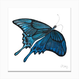 Blue Butterfly. 1 Canvas Print