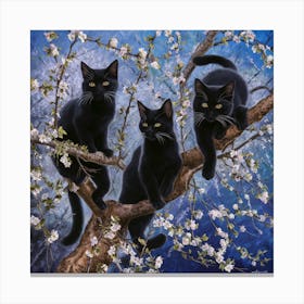 Black Cats In Blossom 3 Canvas Print