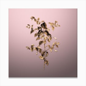 Gold Botanical Tree Fuchsia on Rose Quartz n.4713 Canvas Print