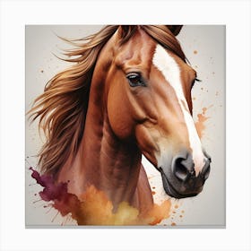 Horse Portrait Canvas Print