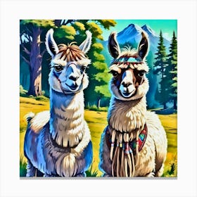 Two Llamas 1 Canvas Print