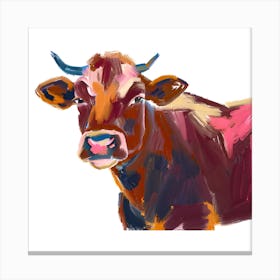 Angus Cow 01 Canvas Print