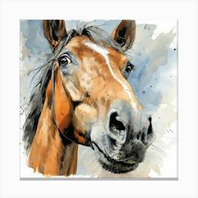 Horse Portrait Canvas Print