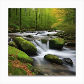 Stream In The Forest 21 Canvas Print