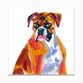 Boxer 04 Canvas Print